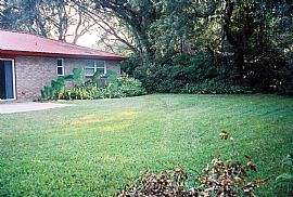 Beautiful Neptune Beach Home in Neptune Beach, FL (Photo 4 of 4)