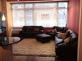 1br - Gorgeous FURNISHED 1 BDR - in Chicago, IL (Photo 1 of 4)