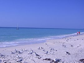 Holiday Villa near famous Casey Key FL in Nokomis, FL (Photo 6 of 6)