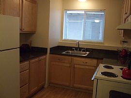 3 Bedroom Apartments on a Single Lease! in Pullman, WA (Photo 3 of 8)