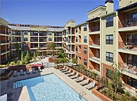 AMAZING NEW CITY STYLE APARTMENTS in Dunwoody, GA