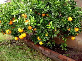 Gracious Gendel House - Great Location in La Puente, CA (Photo 2 of 6)