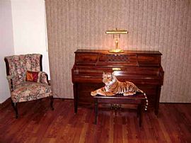 Gracious Gendel House - Great Location in La Puente, CA (Photo 6 of 6)