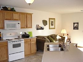 3 BR Townhome w/ 2 Car Garage in Farmington, MN (Photo 2 of 4)