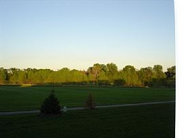 3 BR Townhome w/ 2 Car Garage in Farmington, MN (Photo 4 of 4)