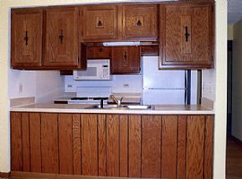 Beautiful 2 Bedroom Condo-Close to Shopp in Carol Stream, IL (Photo 4 of 5)