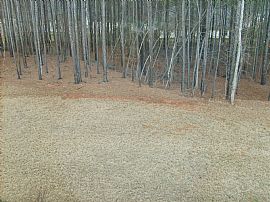 Huge 5 BR/3BA in Coweta County in Senoia, GA (Photo 6 of 6)