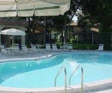 Remodeled  townhouse with shared garage in Clearwater, FL (Photo 6 of 6)