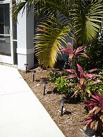 3/2/2 FOR RENT/LEASE OPTION PETS OK  in Cape Coral, FL (Photo 2 of 6)