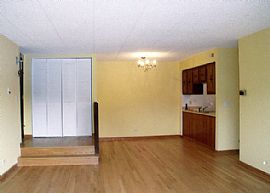 Beautiful 2 Bedroom 2 Bath Condo  in Carol Stream, IL