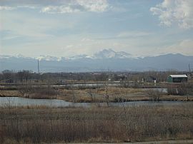 3br - 3br 2 ba House for rent in Longmon in Longmont, CO (Photo 4 of 6)