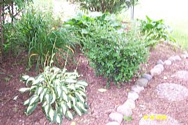 Rent to Own! 100% rent credit in Martin, MI (Photo 2 of 6)