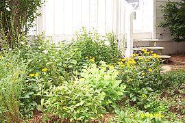 Rent to Own! 100% rent credit in Martin, MI (Photo 4 of 6)