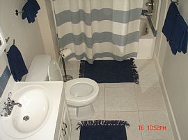 Newly Renovated Beautiful Home!! in Tampa, FL (Photo 4 of 4)