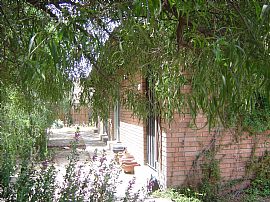 Quiet 2 bedroom apt. near Country Club & in Tucson, AZ