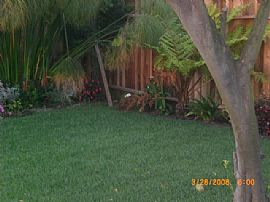 HOME FOR RENT in North Long Beach, CA (Photo 5 of 6)