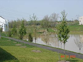 Big New Basement w/walk-up Single Famil  in Aldie, VA (Photo 3 of 6)