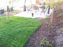 House For Rent in Murrieta, CA (Photo 6 of 6)