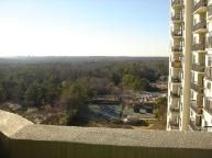HUGE 1BR 1BA Park Towers High Rise Condo in Sandy Springs, GA (Photo 4 of 5)