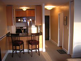 Spectacular Studio Condo with City Views in Saint Louis, MO (Photo 4 of 4)