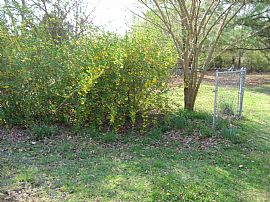 5 BR House for Rent 2183 SQ FT Ches.  Va in Chesapeake, VA (Photo 5 of 6)