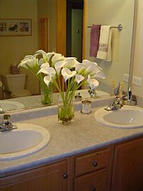 Modern Condo/Walk to Metra/Must See in Lisle, IL (Photo 5 of 6)