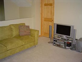 Modern Condo/Walk to Metra/Must See in Lisle, IL (Photo 6 of 6)