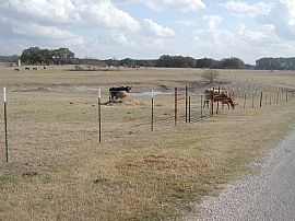 Heart of the TX Hill CountryVacationHome in Canyon Lake, TX (Photo 2 of 6)