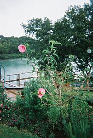 Betsy's Bungalow & Daniels Den in New Braunfels, TX (Photo 6 of 6)