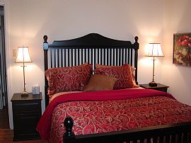 Bougan-Villa and Rose Cottage in New Braunfels, TX (Photo 3 of 6)