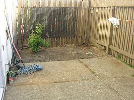 3 BR 1.5 BA TownHome For RENT in Concord, CA (Photo 2 of 3)