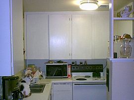 Starter Home -Plant City in Plant City, FL (Photo 4 of 4)