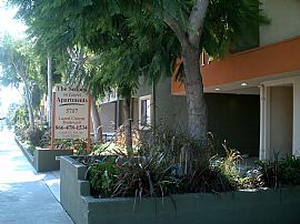 Newly Renovated Apartments in Valley Village, CA