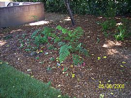 Adorable Remodeled Home for Rent  in Rancho Cordova, CA (Photo 5 of 6)