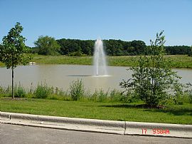 Luxurious Townhouse in Winfield in Winfield, IL (Photo 3 of 6)
