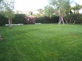 4 BD/2.5Bth 3car-gar SFR @ orange county in Foothill Ranch, CA (Photo 2 of 3)