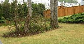 Individual House in Acworth, GA for Rent in Acworth, GA (Photo 3 of 6)