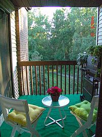 2 Bed 2 Full Bath, inside Washer/Dryer W in Okemos, MI