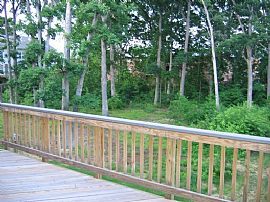 3BR/2.5BA Townhome Ft. Belvoir/Pentagon in Alexandria, VA (Photo 6 of 6)