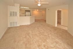 1B1B luxury condo on International Drive in Orlando, FL (Photo 5 of 5)