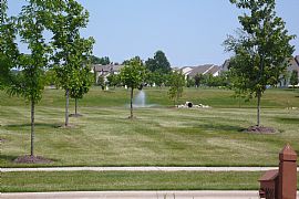 Split-Level Available for Rent this Fall in Lewis Center, OH (Photo 4 of 6)