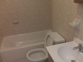 Beautiful studio with bus at doorstep  in Union City, NJ