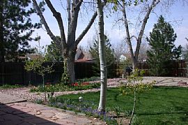 Executive Home 2 MASTER BDRMS On OPEN SP in Aurora, CO (Photo 4 of 6)