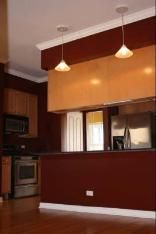 Large Bronzeville Condo  4554 S King Dr in Chicago, IL (Photo 4 of 5)