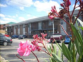 What A Great Place to Call Home in Nashville, TN (Photo 5 of 6)