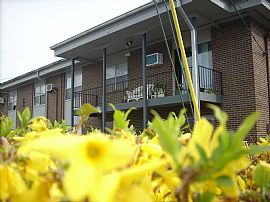 GreatStudio! in Nashville, TN (Photo 6 of 6)