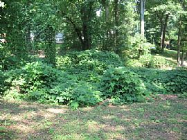 2 bed, 1 bath bungalow with hardwoods in College Park, GA (Photo 6 of 6)