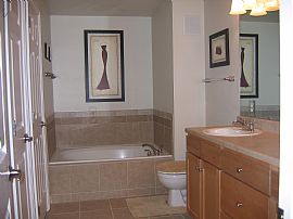 Luxury New Condo in heart of Broomfield in Broomfield, CO (Photo 4 of 6)