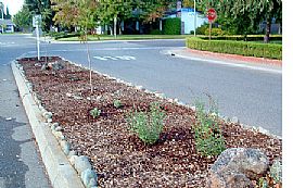 Great 4 Bedroom Single Family Home with Fireplace and Yard in Rancho Cordova, CA