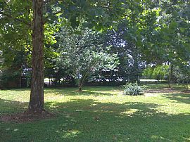 Newly Renovated Home in Ocala - Modern in Ocala, FL (Photo 5 of 5)